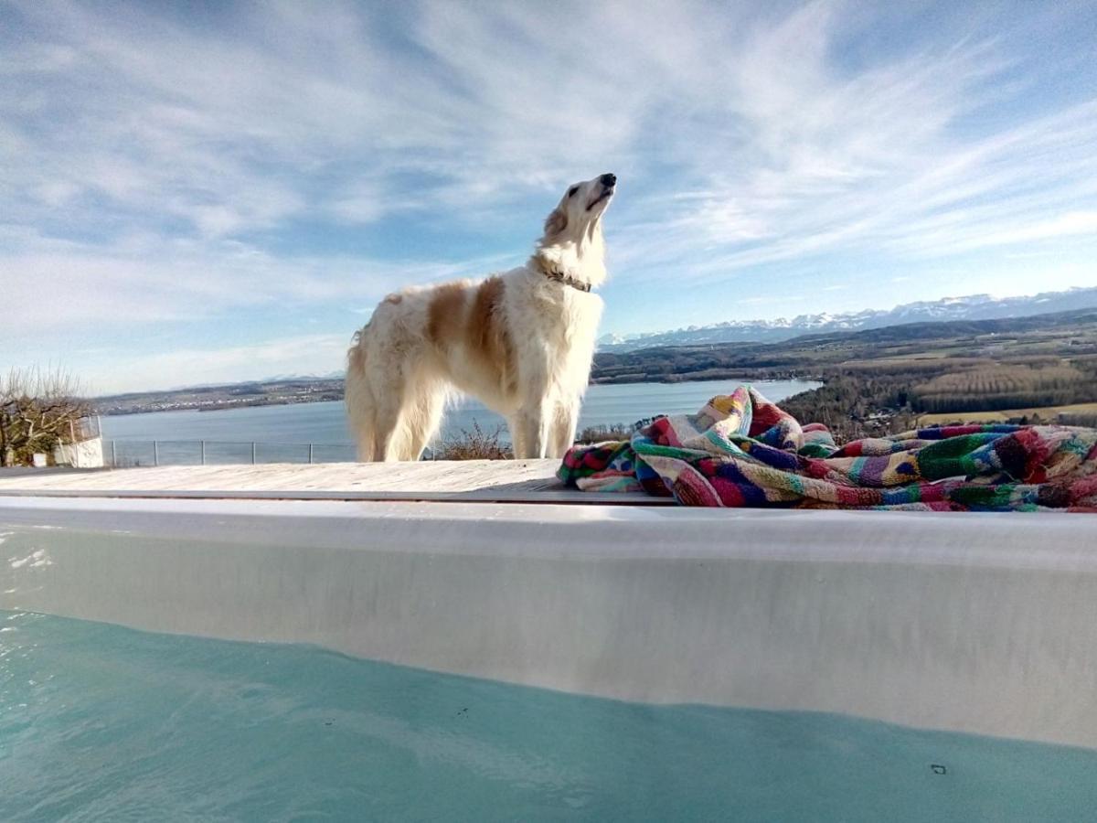 Bed and Breakfast Swiss Borzoi House à Vully-les-Lacs Extérieur photo
