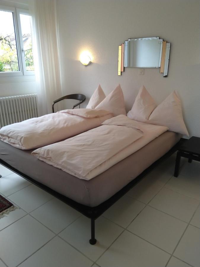 Bed and Breakfast Swiss Borzoi House à Vully-les-Lacs Extérieur photo