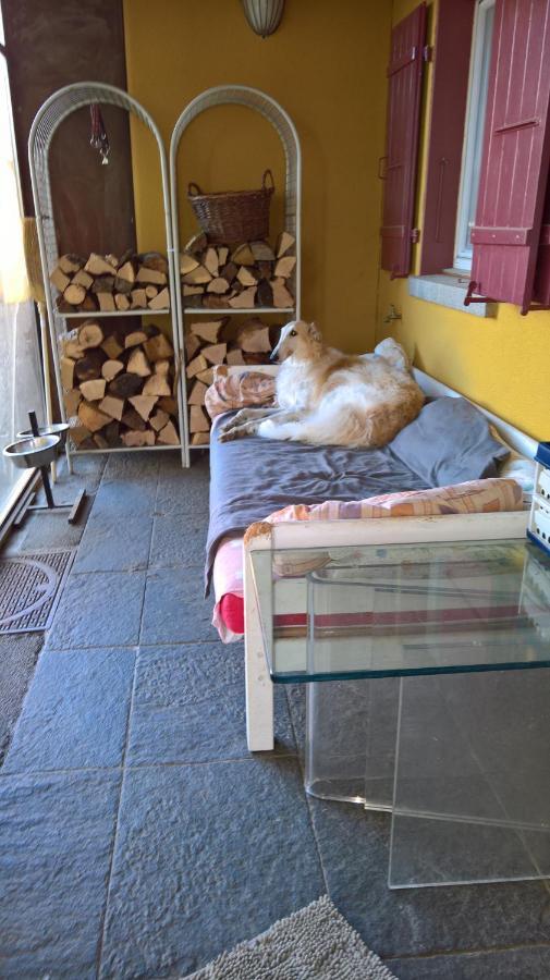 Bed and Breakfast Swiss Borzoi House à Vully-les-Lacs Extérieur photo
