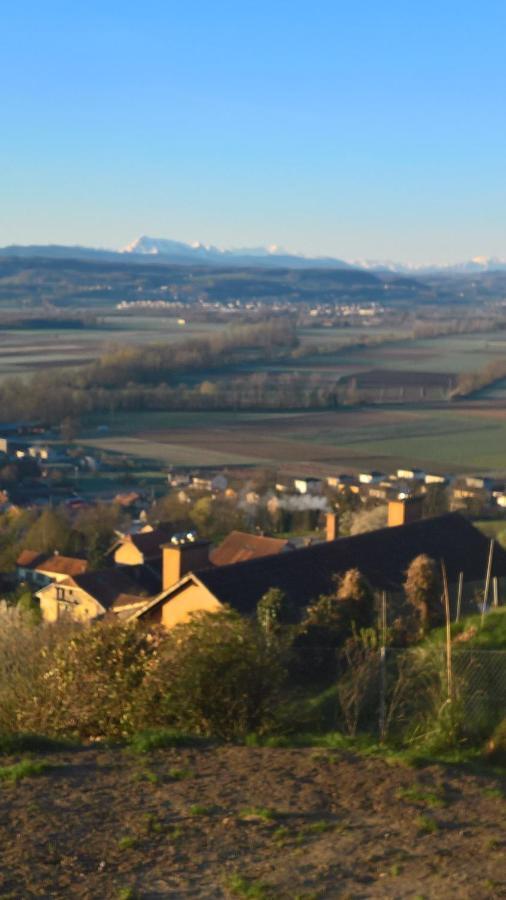 Bed and Breakfast Swiss Borzoi House à Vully-les-Lacs Extérieur photo