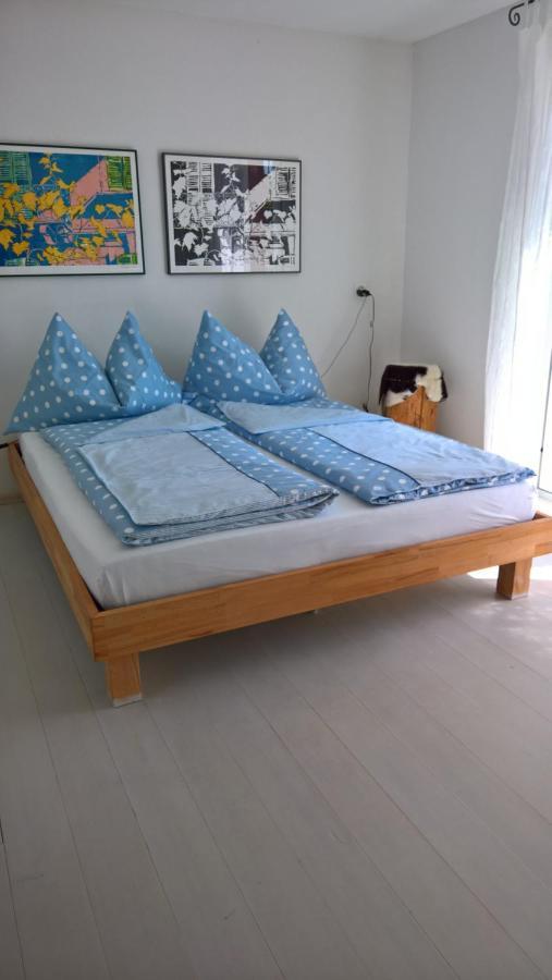 Bed and Breakfast Swiss Borzoi House à Vully-les-Lacs Extérieur photo