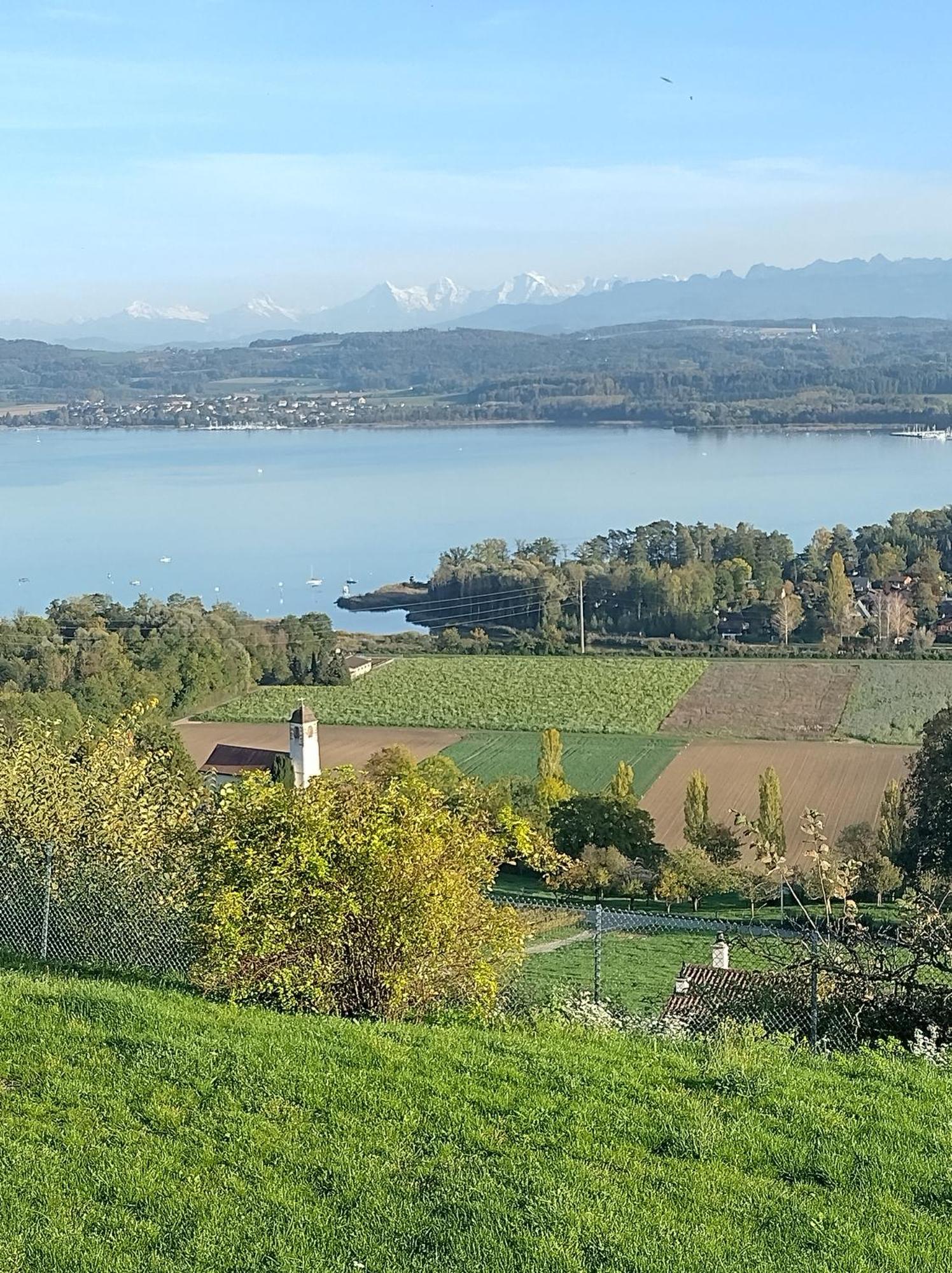 Bed and Breakfast Swiss Borzoi House à Vully-les-Lacs Extérieur photo