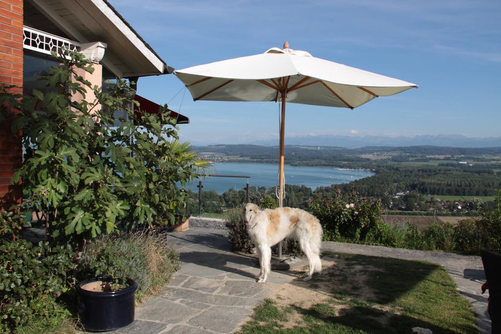 Bed and Breakfast Swiss Borzoi House à Vully-les-Lacs Chambre photo