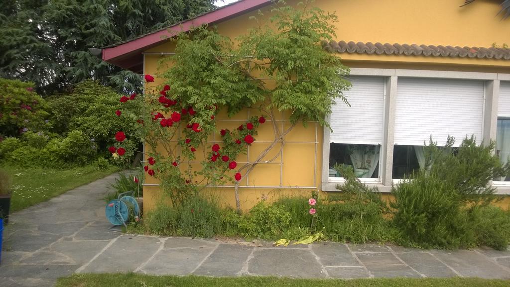 Bed and Breakfast Swiss Borzoi House à Vully-les-Lacs Extérieur photo