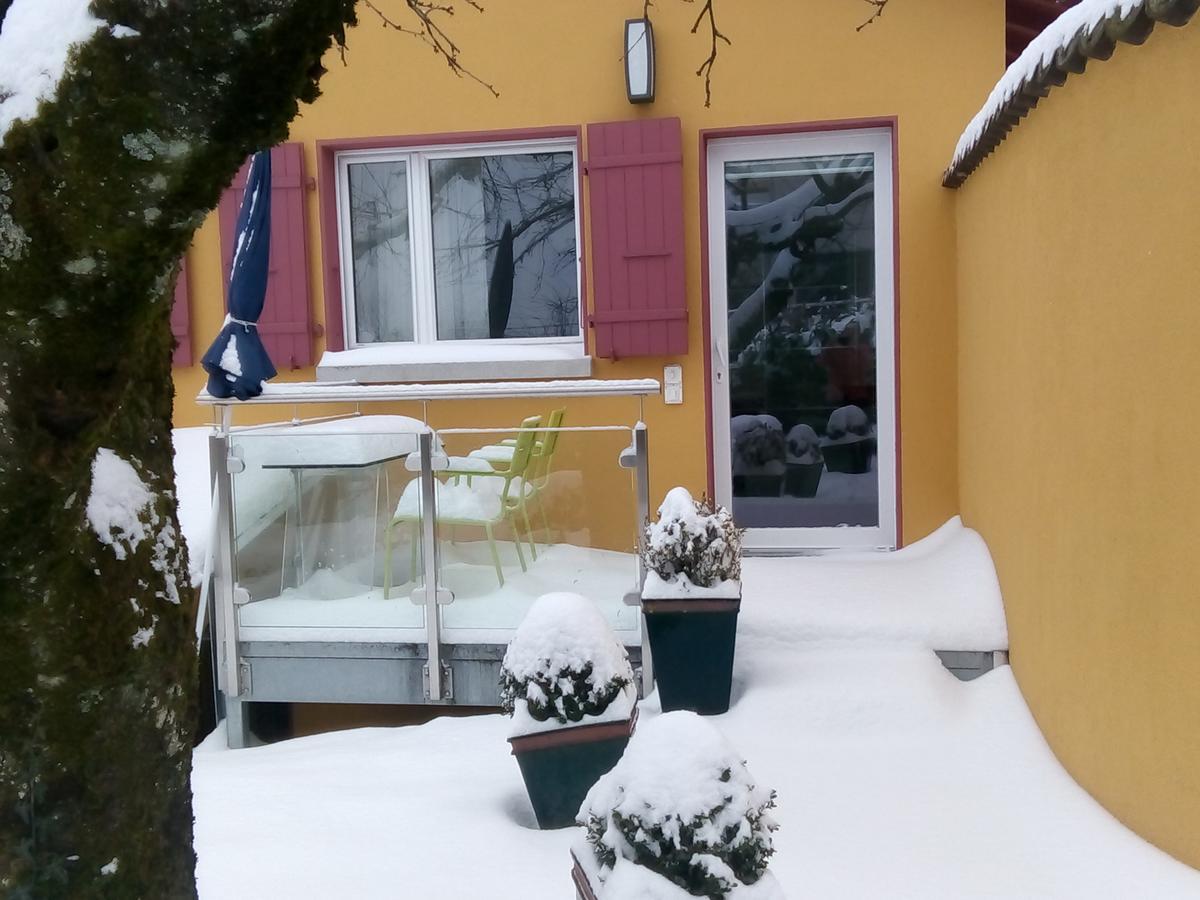 Bed and Breakfast Swiss Borzoi House à Vully-les-Lacs Extérieur photo