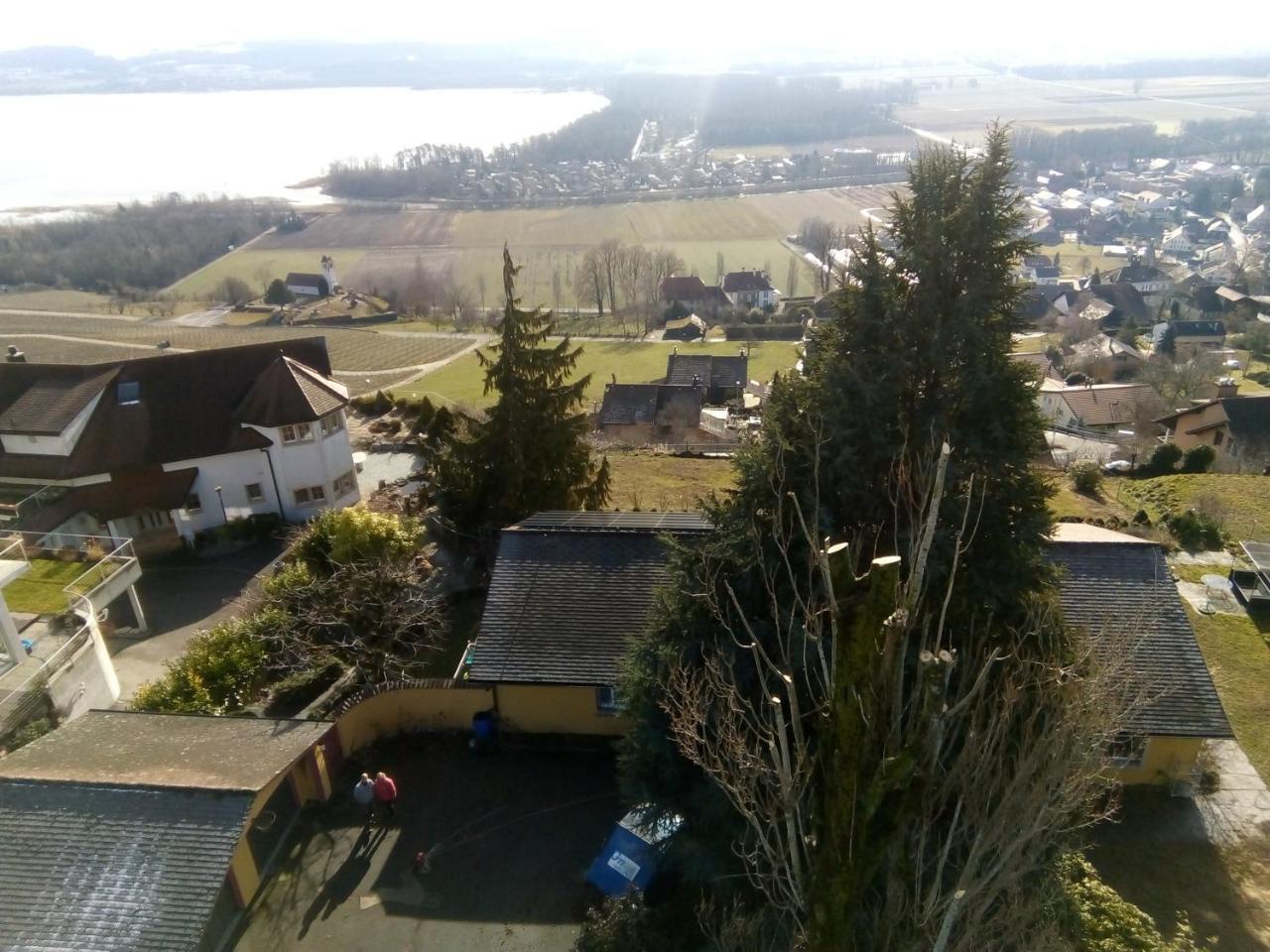 Bed and Breakfast Swiss Borzoi House à Vully-les-Lacs Extérieur photo